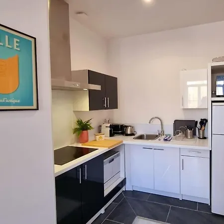 Lilly-tout A Pied Proche Gares Grd Palais&centre Lilla