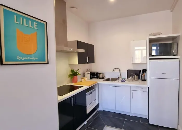 Lilly-tout A Pied Proche Gares Grd Palais&centre Lilla