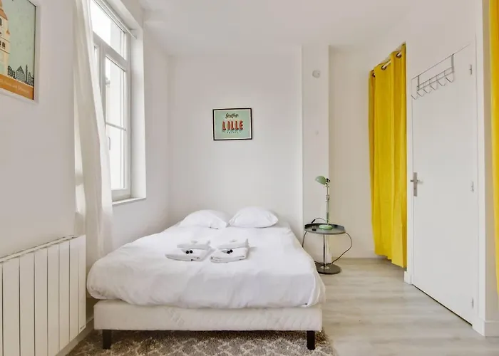 Lilly-tout A Pied Proche Gares Grd Palais&centre